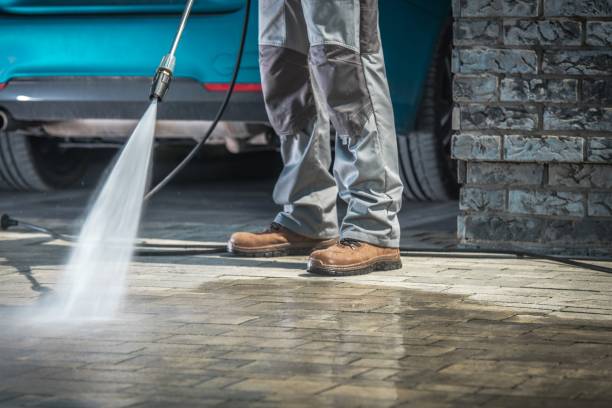 Best Pre-Holiday Cleaning  in Almont, MI