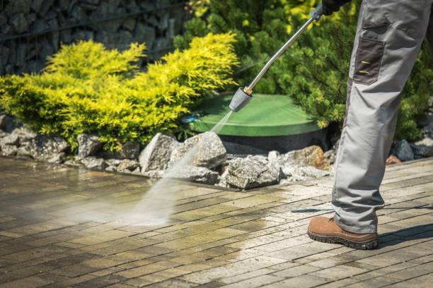 Best Restaurant Pressure Washing  in Almont, MI