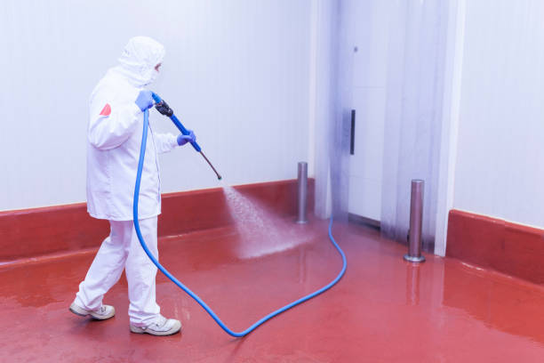 Best Factory Floor Cleaning  in Almont, MI