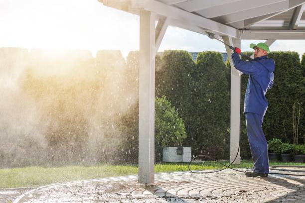 Best Concrete Sealing  in Almont, MI