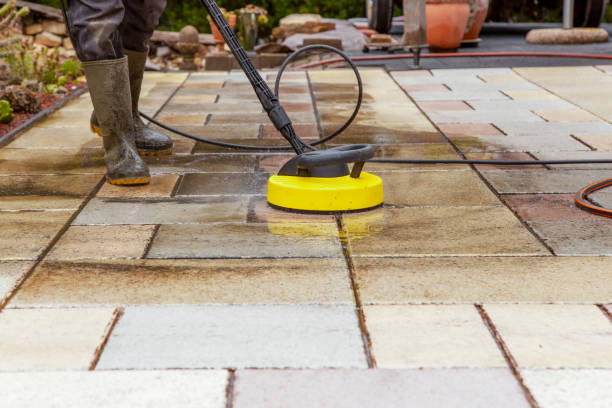 Best Building Exterior Washing  in Almont, MI