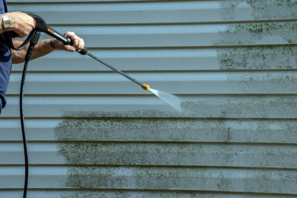 Best Graffiti Removal  in Almont, MI
