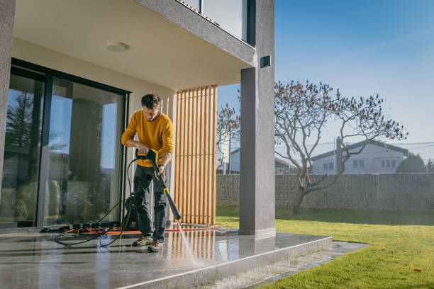 Best Spring Cleaning  in Almont, MI