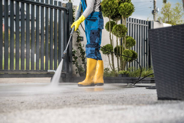 Best Oil Spill Cleanup  in Almont, MI