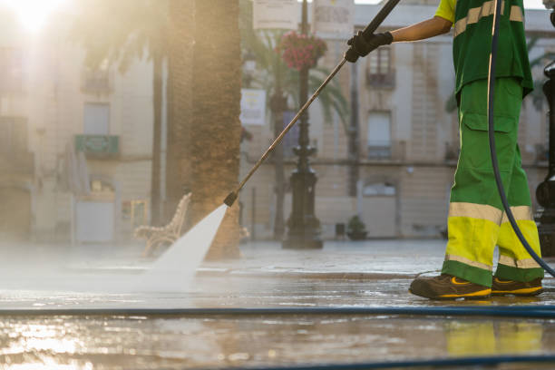 Best Dumpster Area Cleaning  in Almont, MI
